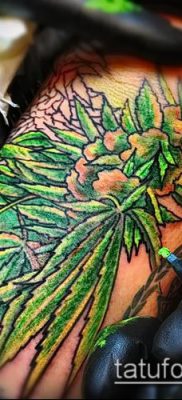 Fotó tetováló marihuánáról (Tattoo Marijuana) (érték) - példa rajz - 035