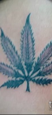 Fotó tetováló marihuánáról (Tattoo Marijuana) (érték) - példa rajz - 040
