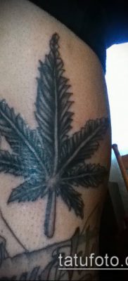 Fénykép tetováló marihuána (Tattoo Marijuana) (érték) - példa rajz - 044