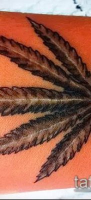Fénykép tetováló marihuána (Tattoo Marijuana) (érték) - példa rajz - 048