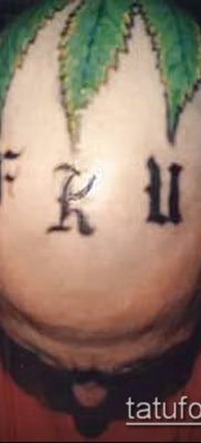 Fotó a tetováló marihuánáról (Tattoo Marijuana) (jelentése) - példa rajz - 051