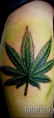 Fénykép tetováló marihuána (Tattoo Marijuana) (jelentése) - példa rajz - 053 1123