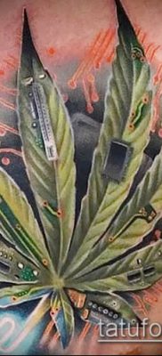 Fotó a tetováló marihuánáról (Tattoo Marijuana) (jelentése) - példa rajz - 057