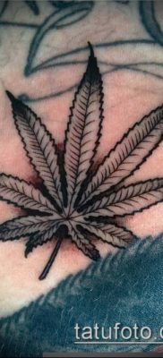 Fotó a tetováló marihuánáról (Tattoo Marijuana) (jelentése) - példa rajz - 058