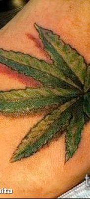Fotó tetováló marihuánáról (Tattoo Marijuana) (érték) - példa rajz - 064