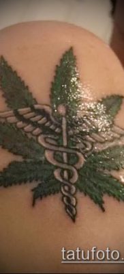 Fotó a tetováló marihuánáról (Tattoo Marijuana) (érték) - példa rajz - 067