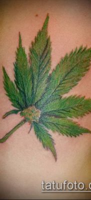 Fotó tetováló marihuánáról (Tattoo Marijuana) (érték) - példa rajz - 069