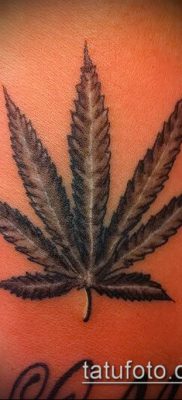 Fénykép tetováló marihuána (Tattoo Marijuana) (érték) - példa rajz - 070