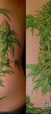 Fotó a tetováló marihuánáról (Tattoo Marijuana) (jelentése) - példa rajz - 073
