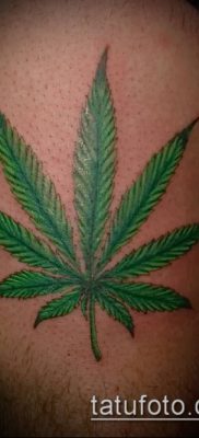 Fotó tetováló marihuánáról (Tattoo Marijuana) (érték) - példa rajz - 074
