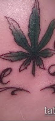 Fotó a tetováló marihuánáról (Tattoo Marijuana) (érték) - példa rajz - 077