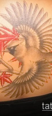 Fénykép tetováló marihuána (Tattoo Marijuana) (érték) - példa rajz - 080