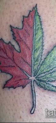 Fénykép tetováló marihuána (Tattoo Marijuana) (jelentése) - példa rajz - 082