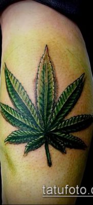 Fénykép tetováló marihuána (Tattoo Marijuana) (jelentése) - példa rajz - 093 123312