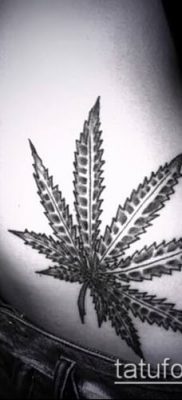 Fénykép tetováló marihuána (Tattoo Marijuana) (jelentése) - példa rajz - 095
