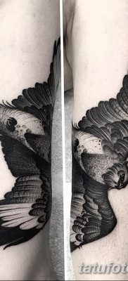 fotó egy sárkánymadár tetoválásról, kelte: 2017. 09. 12. №002 - tetováló sárkánymadár -