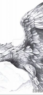 fotó egy sárkánymadár tetoválásról, keltezés: 2017. 09. 12. №012 - tetováló sárkánymadár -