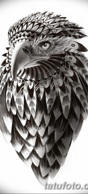 fotó egy sárkánymadár tetoválásról, kelte: 2017. 09. 12. №018 - tetováló sárkánymadár -