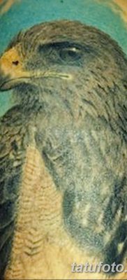 fotó egy sárkánymadár tetoválásról, kelte: 2017. 09. 12. №025 - tetováló sárkánymadár -