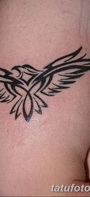 fotó tetováló sárkánymadár kelt 2017.09.12. №029 - tetováló sárkánymadár -