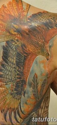 fotó tetováló sárkánymadár kelt 2017.09.12. №030 - tetováló sárkánymadár -