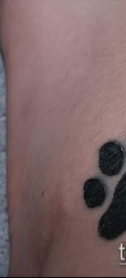 fotó macska mancs tetoválásról (jelentése) - egy példa egy érdekes tetoválási tervre - 059