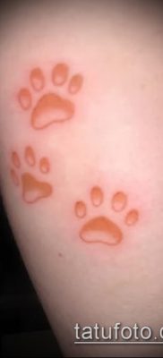 fotó macska mancs tetoválásról (jelentése) - egy példa egy érdekes tetoválási tervre - 057