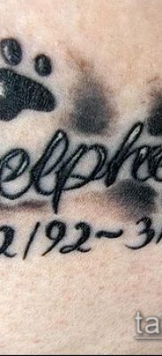 fotó a macska mancs tetoválásról (jelentése) - egy példa egy érdekes tetoválási tervre - 047