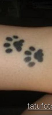 fotó a macska mancsai tetoválásról (jelentése) - egy példa egy érdekes tetoválási tervre - 038