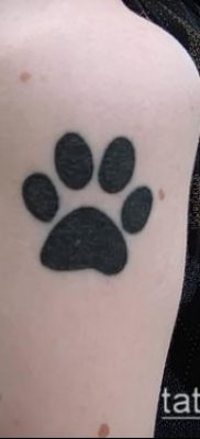 fotó macska mancs tetoválásról (jelentése) - egy példa egy érdekes tetoválási tervre - 035