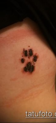 fotó macska mancs tetoválásról (jelentése) - egy példa egy érdekes tetoválási tervre - 024