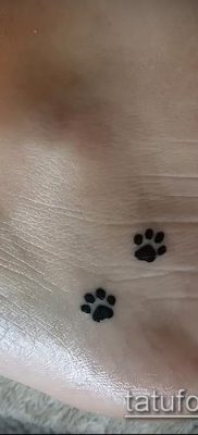 fotó macska mancs tetoválásról (jelentése) - egy példa egy érdekes tetoválási tervre - 023