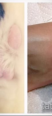 fotó macska mancs tetoválásról (jelentése) - egy példa egy érdekes tetoválási tervre - 022