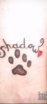 fotó macska mancs tetoválásról (jelentése) - egy példa egy érdekes tetoválási tervre - 019