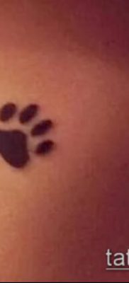 fotó macska mancs tetoválásról (jelentése) - egy példa egy érdekes tetoválási tervre - 017