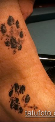 fotó macska mancs tetoválásról (jelentése) - egy példa egy érdekes tetoválási tervre - 015