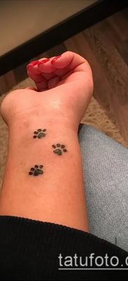 fotó macska mancs tetoválásról (jelentése) - egy példa egy érdekes tetoválási tervre - 011