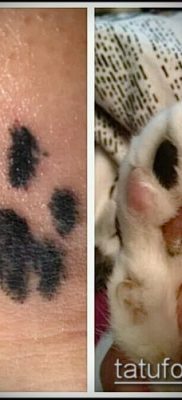 fotó macska mancs tetoválásról (jelentése) - egy példa egy érdekes tetováló rajzra - 009