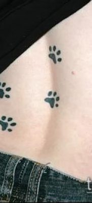 fotó macska mancs tetoválásról (jelentése) - egy példa egy érdekes tetováló rajzra - 004