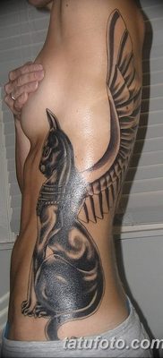 foto af kattetatovering med vinger dateret 26/06/2018 №054 - Kattetatovering med vinger -