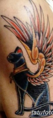 foto af kattetatovering med vinger dateret 26/06/2018 №091 - Kattetatovering med vinger -