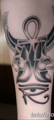 foto af kattetatovering med vinger dateret 26/06/2018 №086 - Kattetatovering med vinger -