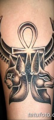 foto af kattetatovering med vinger dateret 26/06/2018 №084 - Kattetatovering med vinger -