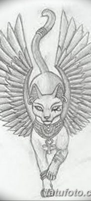 foto af kattetatovering med vinger dateret 26/06/2018 №069 - Kattetatovering med vinger -