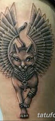 foto af kattetatovering med vinger dateret 26/06/2018 №068 - Kattetatovering med vinger -