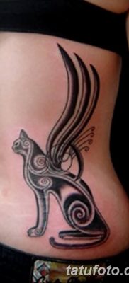 foto af kattetatovering med vinger dateret 26/06/2018 №059 - Kattetatovering med vinger -