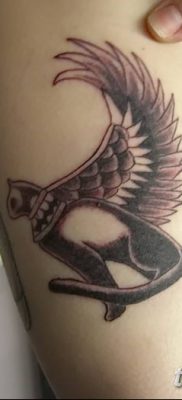 foto af kattetatovering med vinger dateret 26/06/2018 №058 - Kattetatovering med vinger -