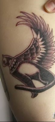 foto af kattetatovering med vinger dateret 26/06/2018 №057 - Kattetatovering med vinger -