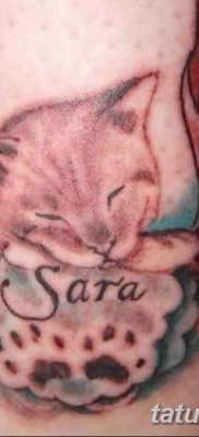 foto af kattetatovering med vinger dateret 26/06/2018 №003 - Kattetatovering med vinger -
