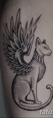 foto af kattetatovering med vinger dateret 26/06/2018 №004 - Kattetatovering med vinger -